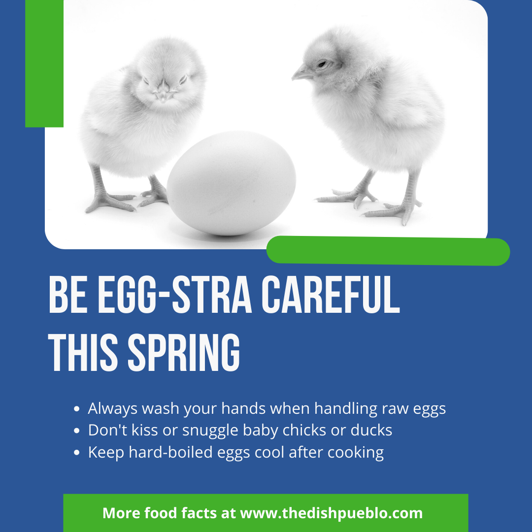 Be Egg-stra Careful This Spring - Always wash your hands when handling raw eggs, Don't kiss or snuggle baby chicks or ducks, Keep hard-boiled eggs cool after cooking. More food facts at www.thedishpueblo.com