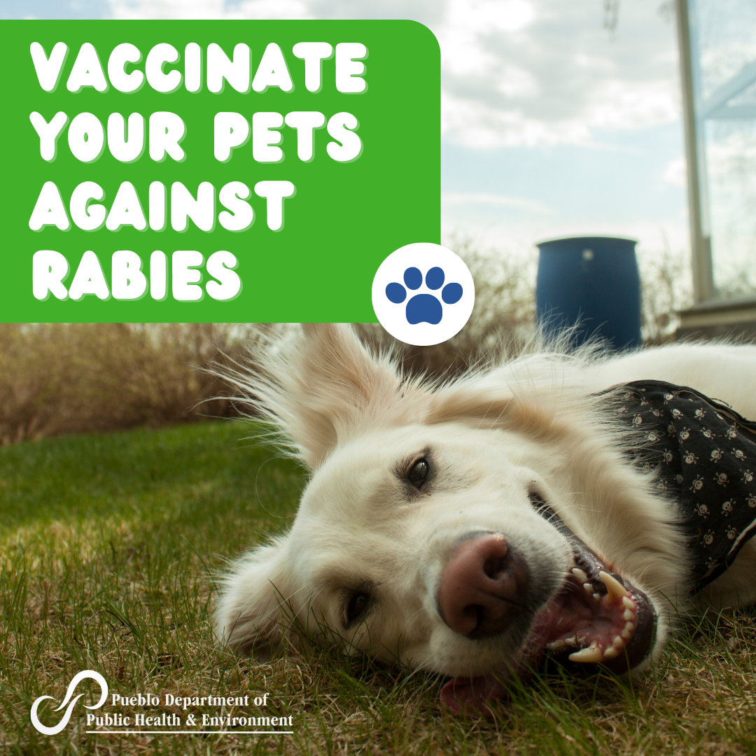Image of Golden Retriever laying in the grass; Text over image: Vaccinate your pets against rabies.