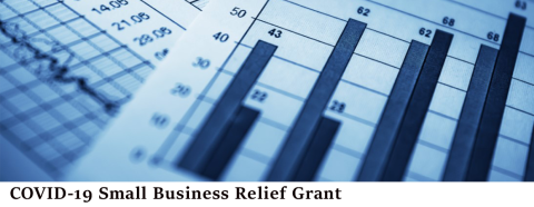 COVID-19 Small Business Relief Grant