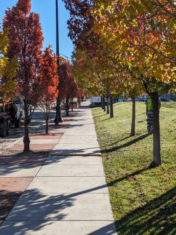 A photo of the grounds, with a sidewalk and trees